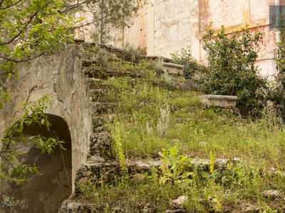 Qui a dominare � la vegetazione incolta che ha letteralmente �mangiato� parte delle strutture, tra cui la sorprendente scalinata a doppia rampa, simbolo del rango elevato della famiglia proprietaria